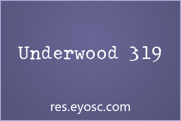 Underwood 319：书籍封面的打字机叙事语言