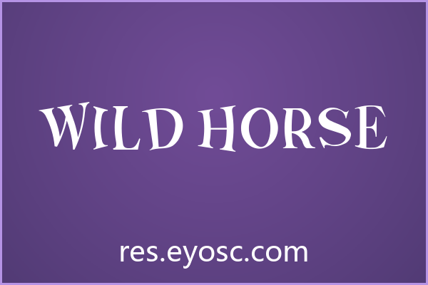 Wild Horse：狂野不羁的Distorted电商字体
