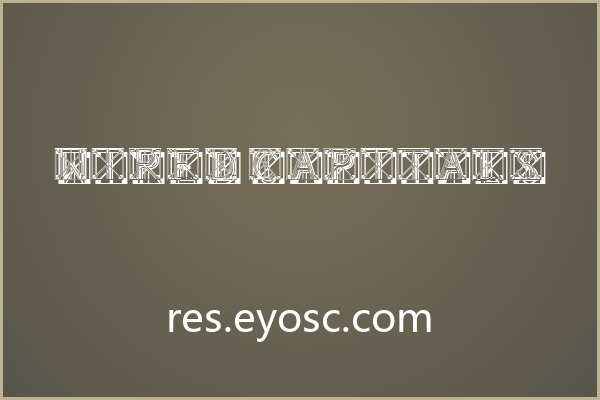 想设计科技感海报主标题，Wired Capitals如何运用？