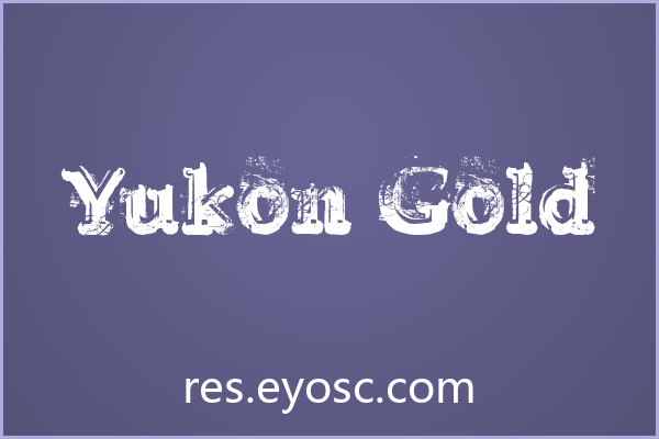 「Yukon Gold」：做旧字体是书籍封面的视觉叙事语言