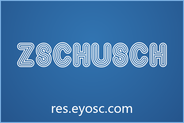 「Zschusch」：网页标题的视觉语法，字体即设计语言