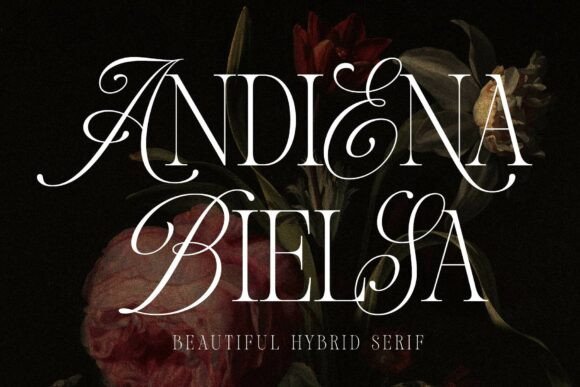 Andiena Bielsa让书籍封面主视觉兼具优雅与奢华质感