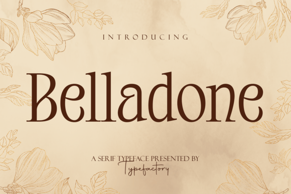 Belladone 的优雅曲线能为品牌带来什么？